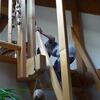 20090620_154231_P1010756