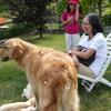 20090620_162851_P1010758