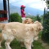 20090620_165824_P1010759