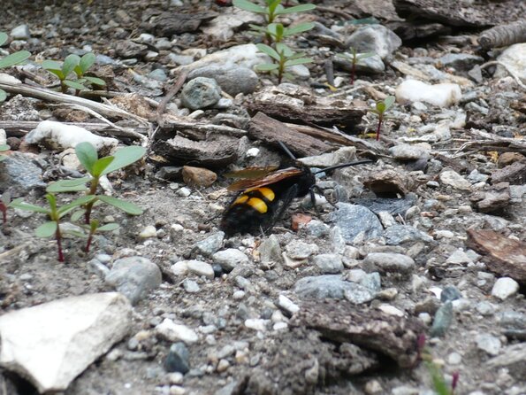 20090620_183758_P1010765