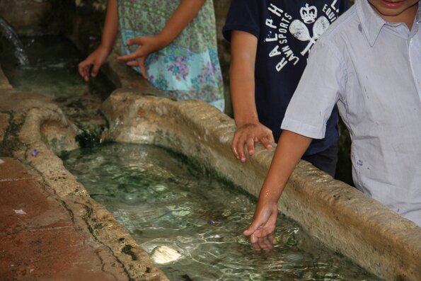 20090718_183902_IMG_5524