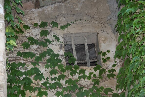 20090718_201305_IMG_5637