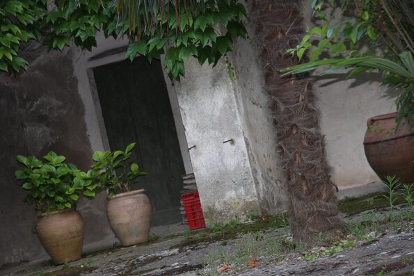 20090718_204042_IMG_5665