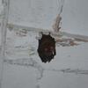 20090720_105958_P1010915
