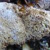 20090721_200510_P1010928