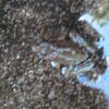 20090725_120234_P1010946