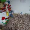 20090730_114350_P1010973