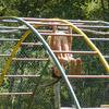 20090809_140619_P1010983