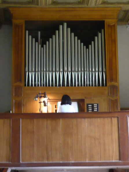 20090809_145034_P1010985