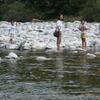 20090809_181519_P1020006