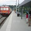 20090821_181611_P1020043