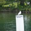20090822_154127_P1020067