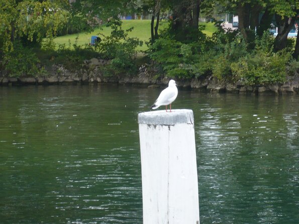 20090822_154127_P1020067