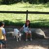 20090823_161226_P1020111