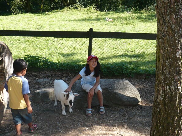 20090823_161226_P1020111