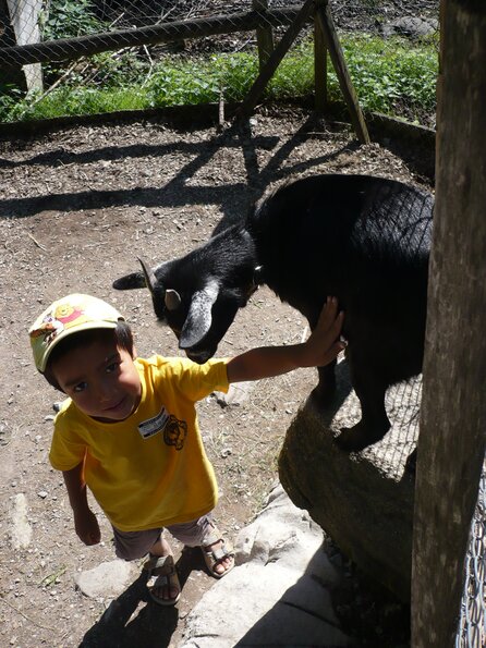 20090823_161318_P1020112