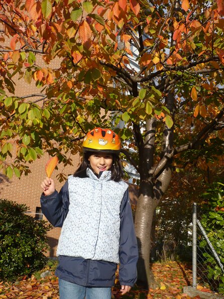 20091104_163712_P1020216