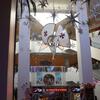 20091206_182026_P1020349