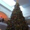 20091206_210622_P1020352