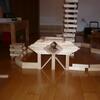 20100208_212108_P1020490