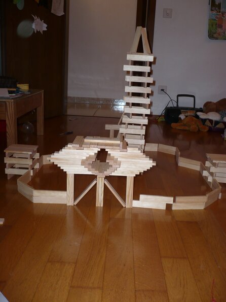 20100208_212121_P1020491