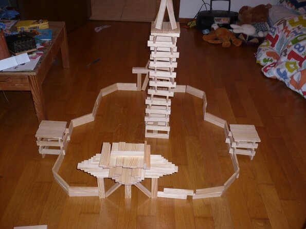 20100208_212131_P1020492