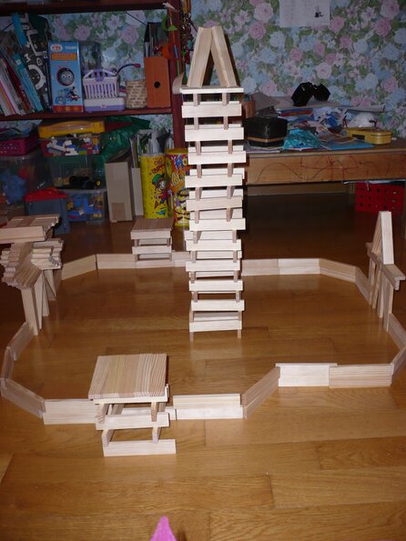 20100208_212725_P1020497