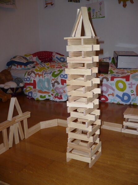 20100208_212807_P1020498