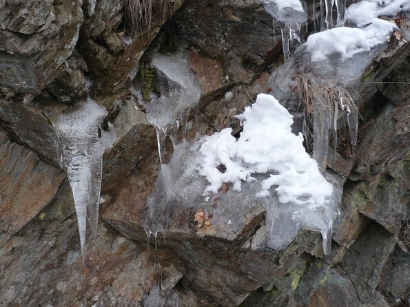 20100215_162622_P1020516