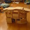 20100308_213226_P1020539
