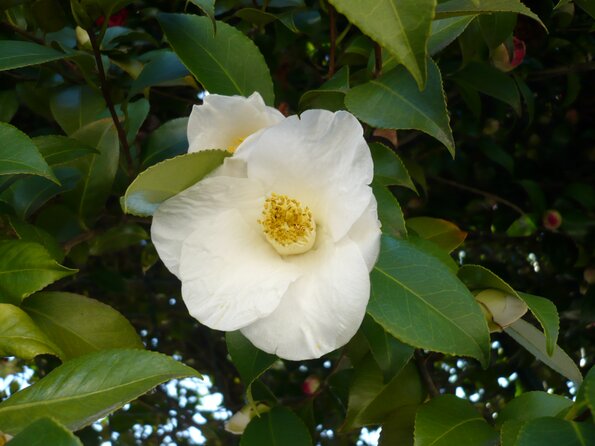20100328_105908_P1020556