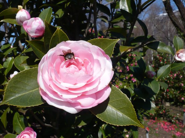 20100406_113833_P1020565