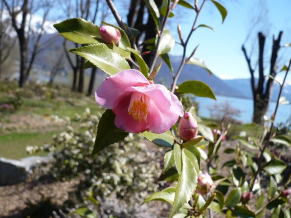 20100406_120335_P1020570