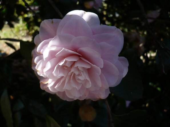 20100406_120657_P1020572