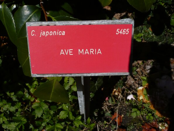 20100406_120709_P1020573