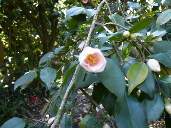 20100406_121413_P1020575