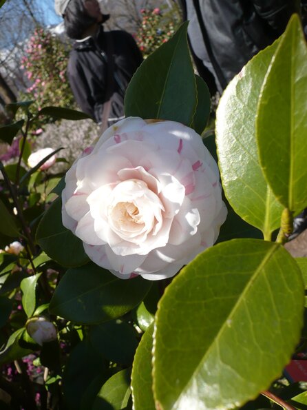 20100406_122759_P1020586