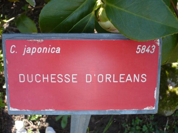 20100406_122808_P1020587
