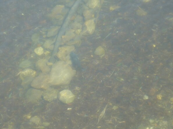 20100407_132832_P1020594