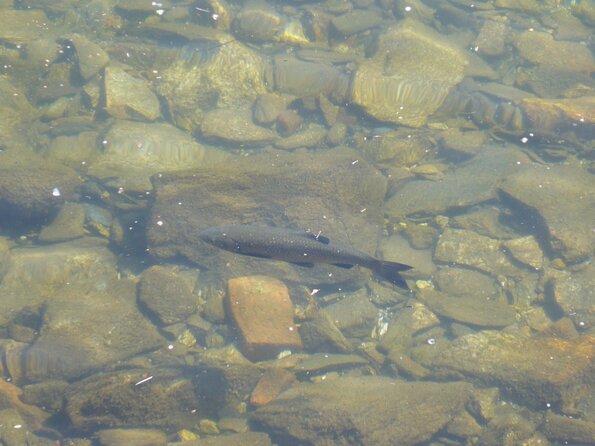 20100407_134052_P1020596