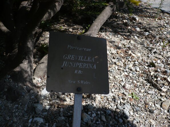 20100407_134810_P1020597