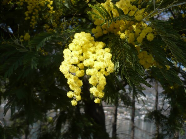 20100407_135312_P1020601