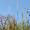 20100407_135801_P1020602