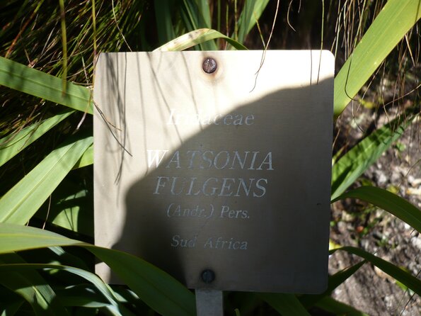20100407_135837_P1020604
