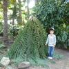 20100407_140442_P1020605