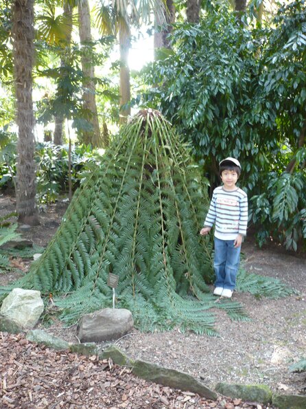 20100407_140442_P1020605