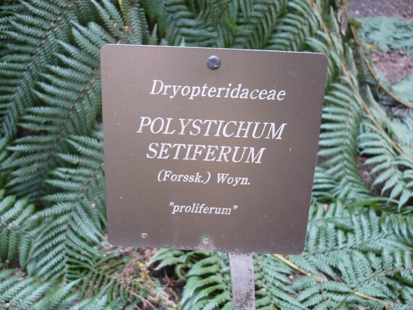 20100407_140455_P1020606