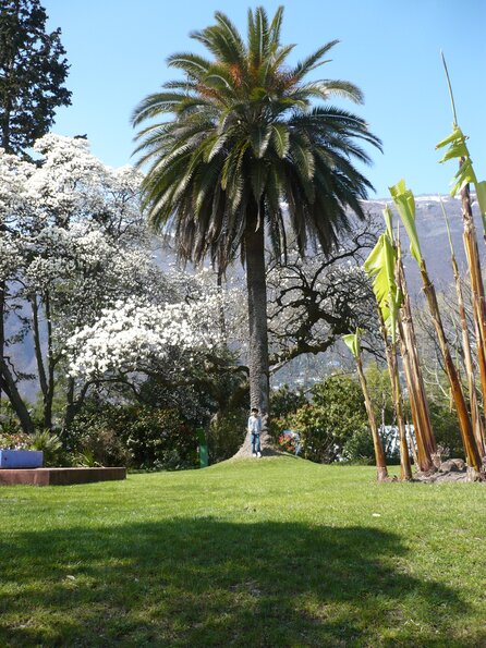 20100407_140854_P1020607