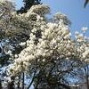 20100407_141017_P1020609