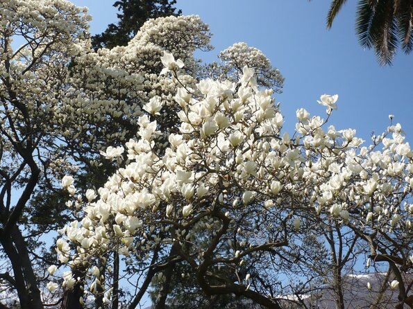 20100407_141017_P1020609